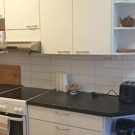 Apartment Keskustan Kaksio, Ilmainen Autopaikka. Kuopio